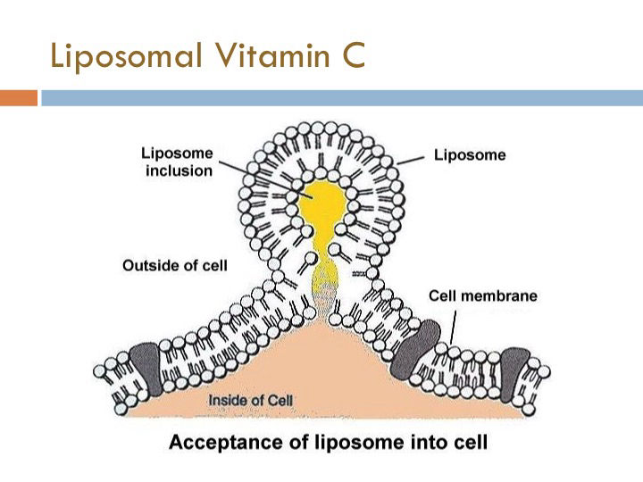 LypoC