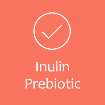 Inulin Prebiotic
